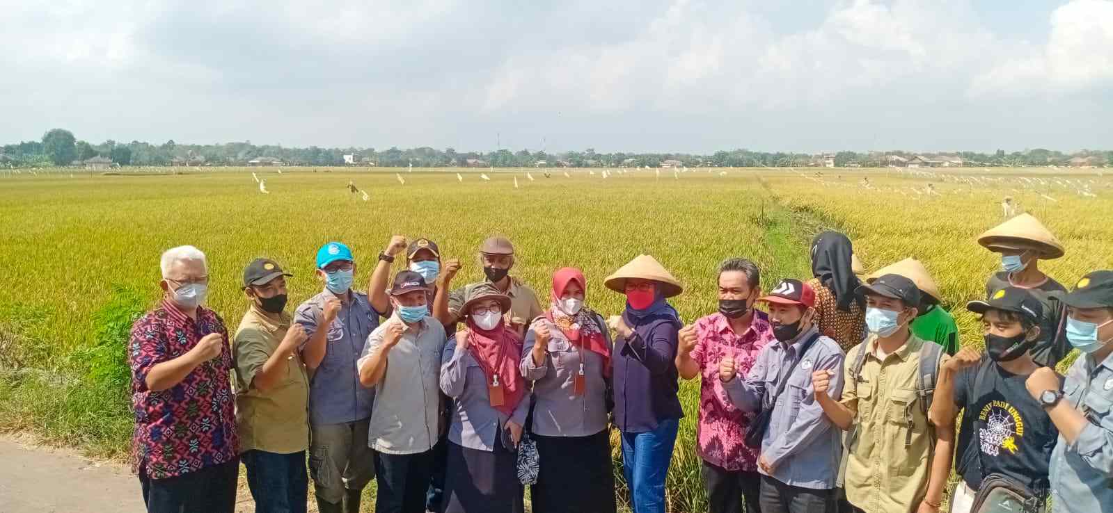 Bupati Indramayu Tinjau Lokasi Panen Raya di Desa Panyindangan Wetan