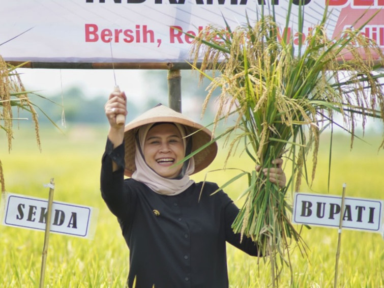 Hebat! 1.000 Hektare Sawah Indramayu Jadi Pilot Project Pertanian Organik di Indonesia