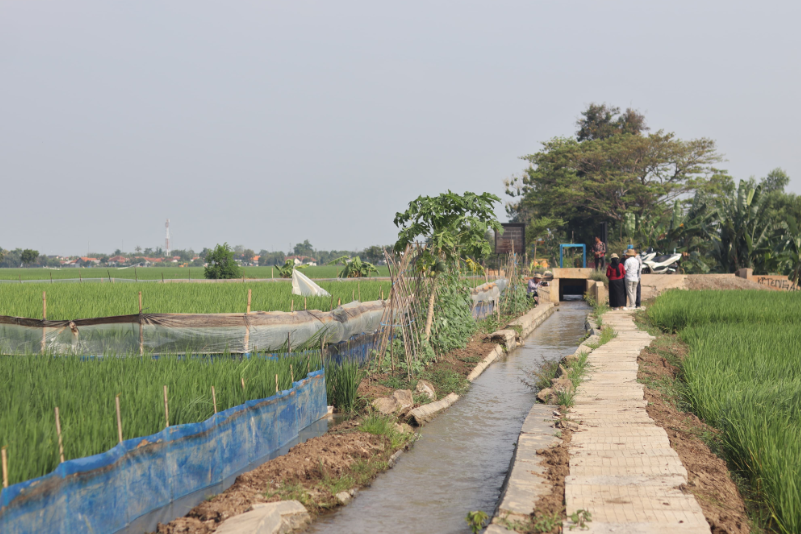 Inovasi Pemdes Sukadana Indramayu, Jalan Sawah Dipasangi Beton Precast Permudah Akses Petani