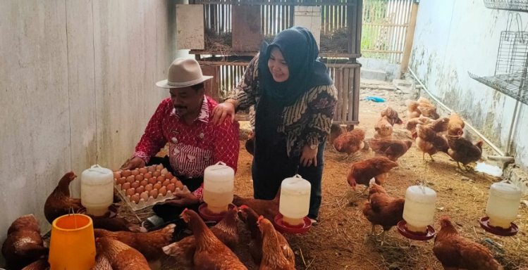 Ternak Ayam Petelur di Halaman Kantor, Cara Camat Lohbener Tingkatkan Gizi Anak Stunting