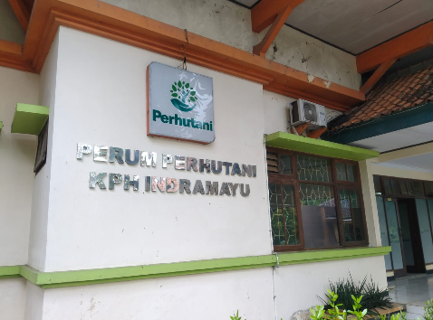 Dugaan Penyerobotan Lahan Perhutani di Cikawung: Oknum Anak Pejabat Daerah Jadi Sorotan