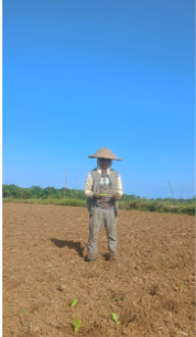 Petani Tembakau Desa Pangtonggal Inginkan Harga Jual Tinggi demi Meraih Kesejahteraan
