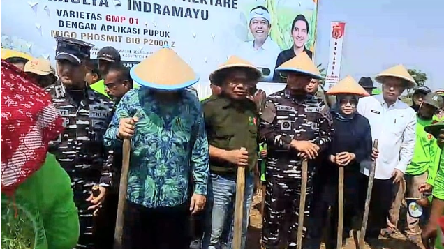 Diperintah Langsung Presiden Prabowo, Hashim Hadiri Penanaman Kedelai Nasional di Indramayu